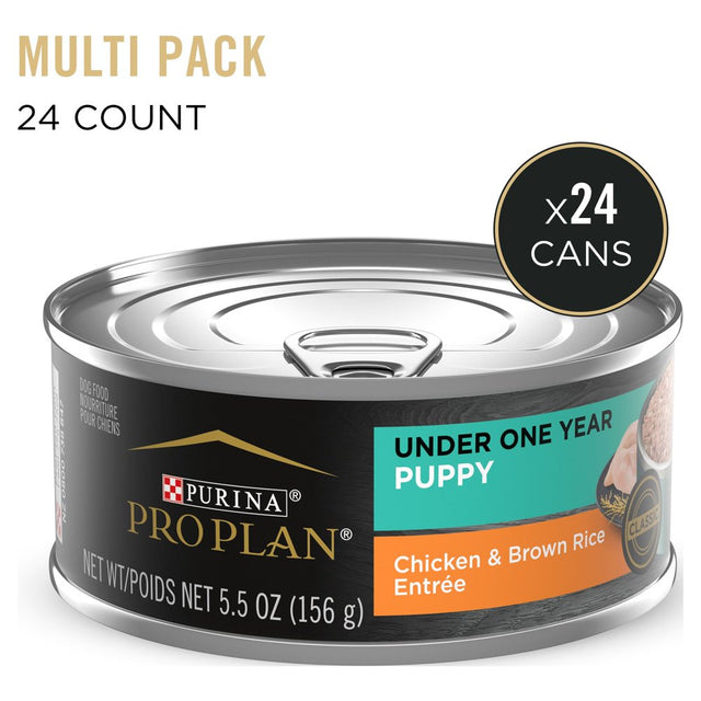 Purina Pro Plan Puppy Wet Dog Food under 1 Year High Protein, Chicken & Brown Rice, 5.5 Oz Cans (24 Pack)