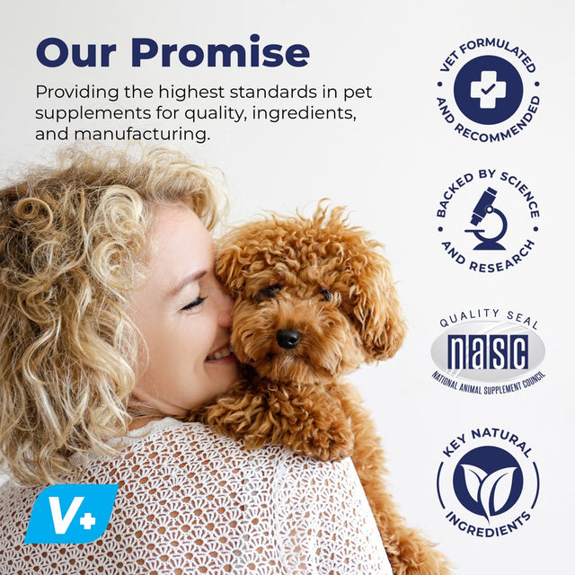 Glandex Dog Fiber Supplement for Anal Glands with Pumpkin, Digestive Enzymes & Probiotics - Boot the Scoot 4.0 Oz Pork Liver by Vetnique Labs