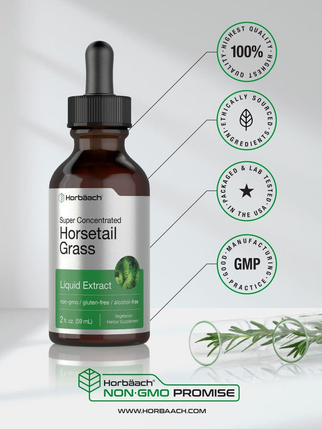 Horsetail Herb Liquid Extract | 2 Oz | Vegetarian & Alcohol Free | by Horbaach