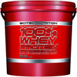 100% Whey Protein Professional - 11 Lbs - Cappucino - Scitec Nutrition