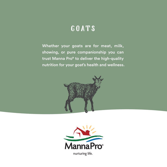 Manna Pro Mini-Pig Skin and Coat Supplement | Skin and Coat Supplement for Mini-Pigs | Provides Nutrients to Support Skin & Coat Health and Appearance | 1 Lb