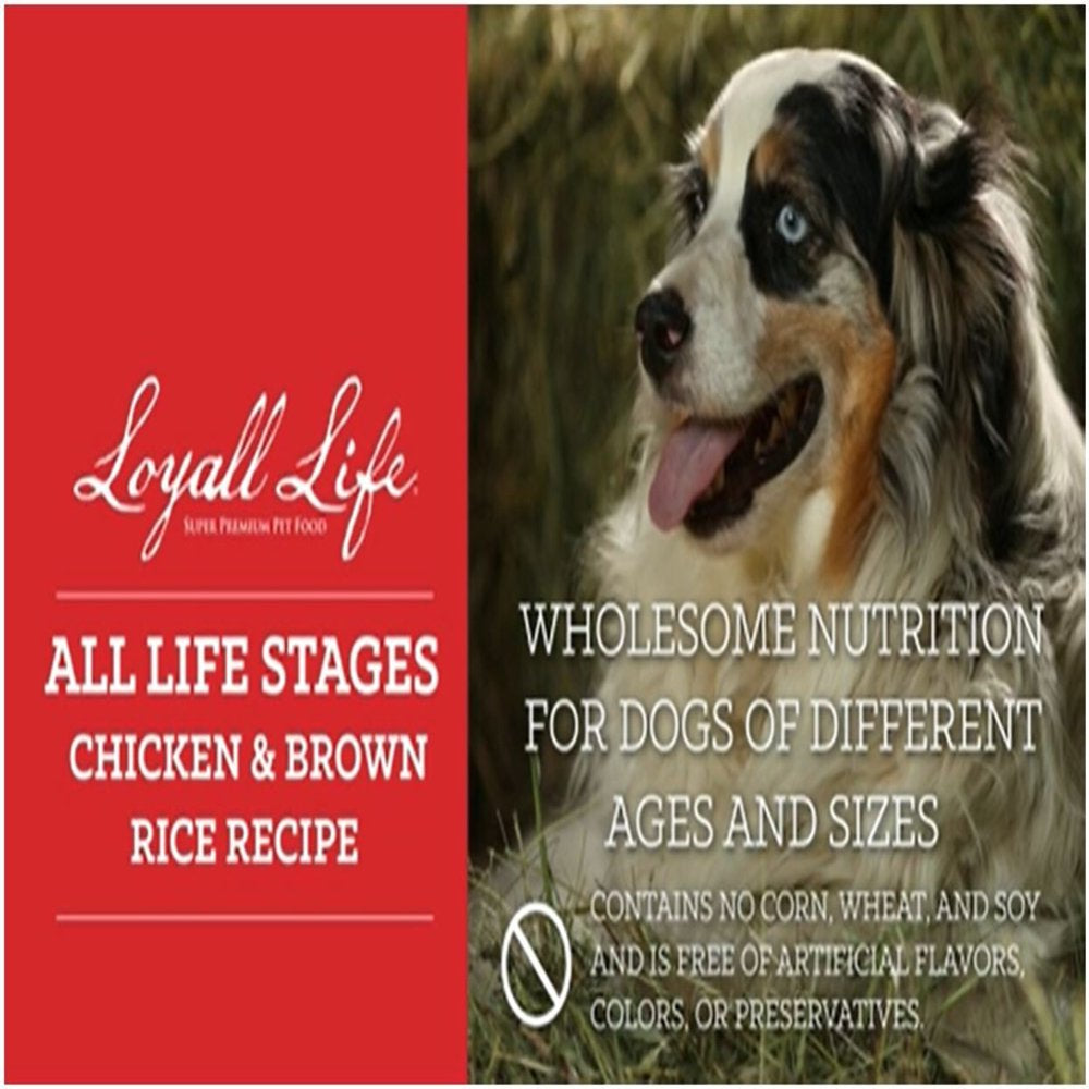 Loyall Life All Life Stages Chicken Brown Rice Dog Food – Nutricity.co.nz