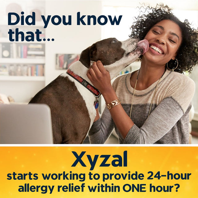 Xyzal Allergy Tablets 24-Hour Allergy Relief, Original Prescription Strength, 55 Ct