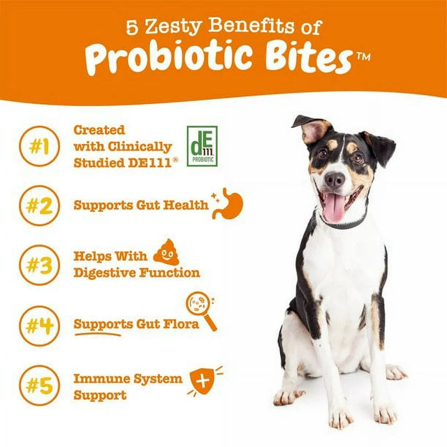 Zesty Paws Probiotic Bites Soft Chews, Digestive Probiotics for Gut Flora & Immune Support, Functional Digestive Health Dog Supplement, Pumpkin Flavor, 60 Count