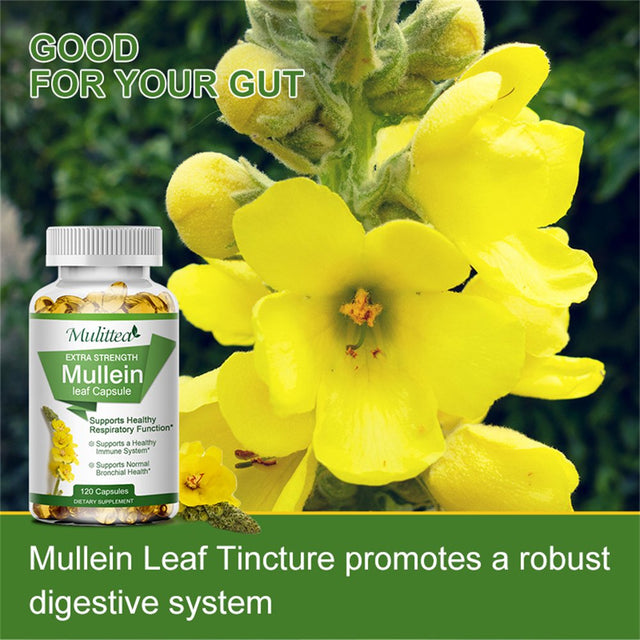 Mulittea 100% Natural Mullein Leaf Capsules for Cleanse, Supports Healthy Respiratory, 120 Capsules