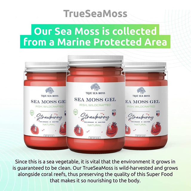 Trueseamoss Wildcrafted Irish Sea Moss Gel – Nutritious Raw Seamoss Rich in Minerals, Proteins & Vitamins – Antioxidant Health Supplement, Vegan-Friendly Made in USA (Strawberry, 2)