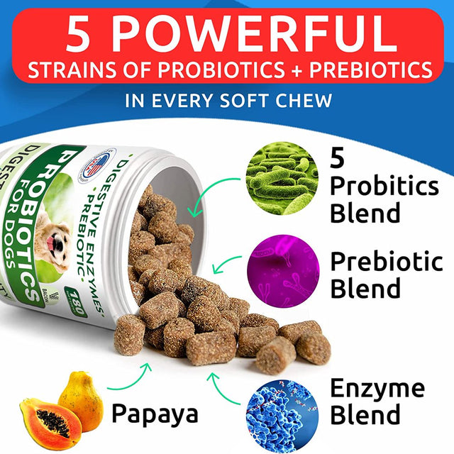 Dog Probiotics Chews - Gas, Diarrhea, Allergy, Constipation, Upset Stomach Relief, with Digestive Enzymes + Prebiotics - Chewable Fiber Supplement - Improve Digestion, Immunity - Made in USA