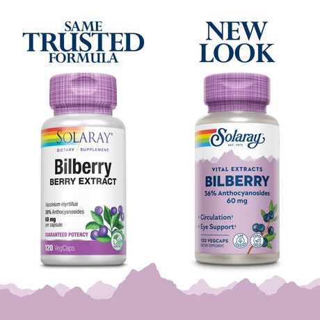 Solaray Bilberry Berry Extract 60 Mg, Eye Health & Circulation Support, with 36% Anthocyanosides, Vegan, 120 Vegcaps