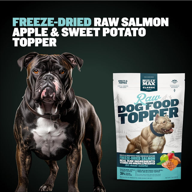 Freeze-Dried Raw Dog Food Toppers for Puppies & Adult Dogs - Salmon with Real Fruits & Veggies - Meal Enhancers with Vitamins & Minerals - Feed as Puppy Treat or Dog Meal