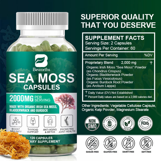 BEWORTHS Organic Sea Moss Capsules 2000Mg with Burdockroot, for Immune Boost, Skin & Joint Health, Gut Cleanse & Thyroid Support - 120 Capsules