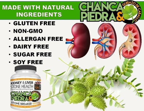 CHANCA PIEDRA Stone Breaker Kidney & Liver Stone Health 1800 Mg 120 Capsules