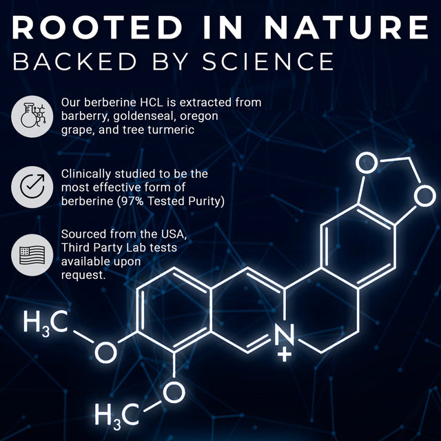 ACEWORKZ Premium Berberine HCL 1200Mg - 97% Tested Purity - Blood Sugar, Weight Management, Cardiovascular, Immune Support Supplement