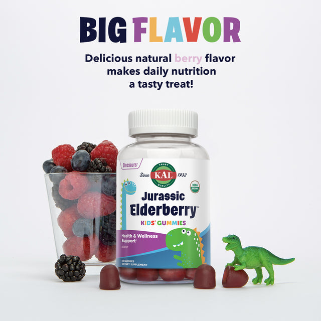 KAL Jurassic Elderberry Kids Gummies | Healthy Immune Support | USDA Organic, Vegan, Gluten Free | 30 Serv, 60 Ct