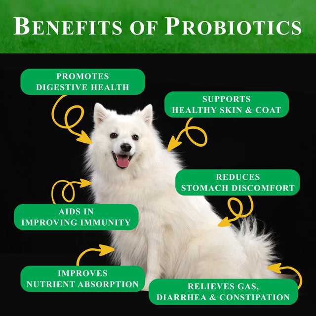 Deluxe Naturals Probiotics for Dogs | All-Natural Dog Probiotic Soft Chews with Enzymes, Prebiotics, Pumpkin | Promotes Digestive Health, Improves Allergy & Immunity - 90 Count (Pack of 1)