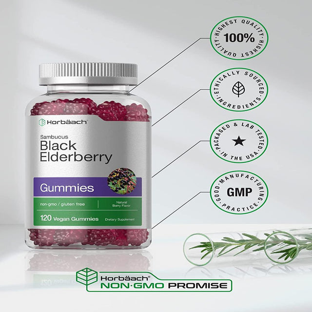 Black Elderberry with Zinc & Vitamin C | 120 Vegan Gummies | Natural Berry Flavor | by Horbaach