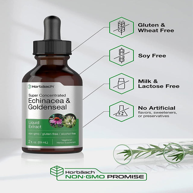 Echinacea Goldenseal Liquid Extract | 2 Fl Oz | Alcohol Free Tincture Drops | by Horbaach