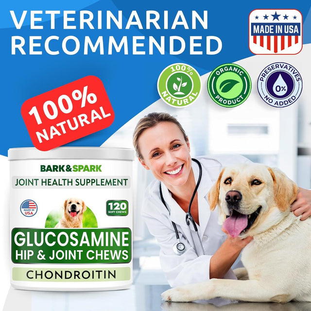 Glucosamine Chondroitin Dog Hip & Joint Supplement - Joint Pain Relief - Hip & Joint Chews for Dogs - Joint Support Large Breed - Senior Doggie Vitamin Pills Joint Health - (120 Treats - Bacon)