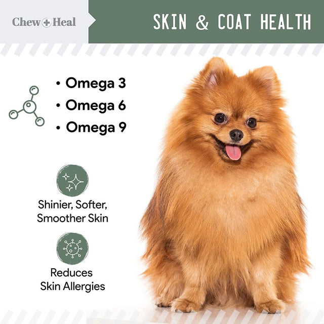 Chew + Heal All in 1 Dog Vitamin - 60 Soft Chew Treats for Dogs - Chewable Multivitamin with Probiotics, Digestive Enzymes, for Skin, Hip and Joint Support - with Omega, Calcium - Made in the USA