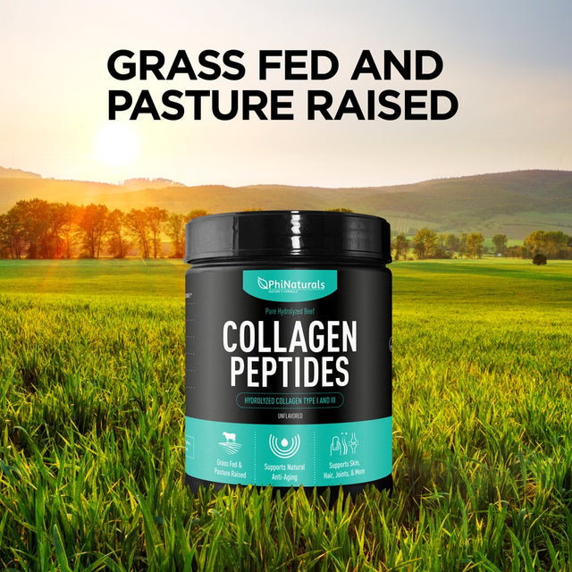 Hydrolyzed Collagen Peptides Protein Powder - Bovine Collagen Supplements - Grass-Fed Beef - Non-Gmo Keto & Paleo Friendly - Anti-Aging Proteins - Made in the USA [Unflavored]