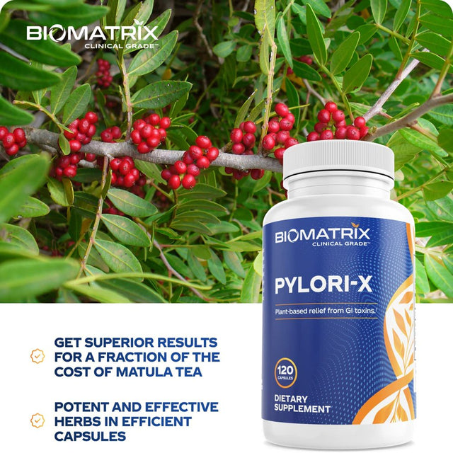 Biomatrix Pylori-X | Stomach and GI Support for H. Pylori Defense | Mastic Gum Berberine | Matula Tea Alternative (120 Caps)