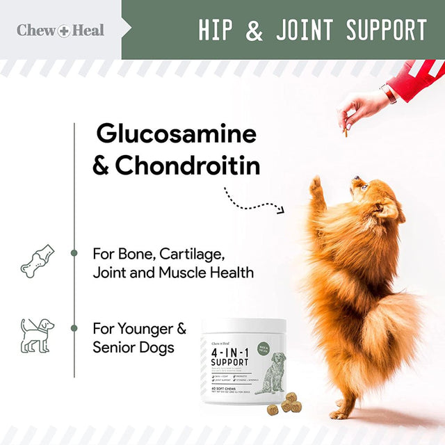 Chew + Heal All in 1 Dog Vitamin - 60 Soft Chew Treats for Dogs - Chewable Multivitamin with Probiotics, Digestive Enzymes, for Skin, Hip and Joint Support - with Omega, Calcium - Made in the USA