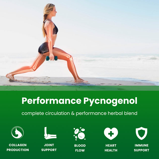 Nutrachamps Pycnogenol® Pine Bark - Premium Supplement with Herbal Complex for Circulation, Blood Flow & Nitric Oxide Production - Superior Absorption & Results with Black Pepper Extract