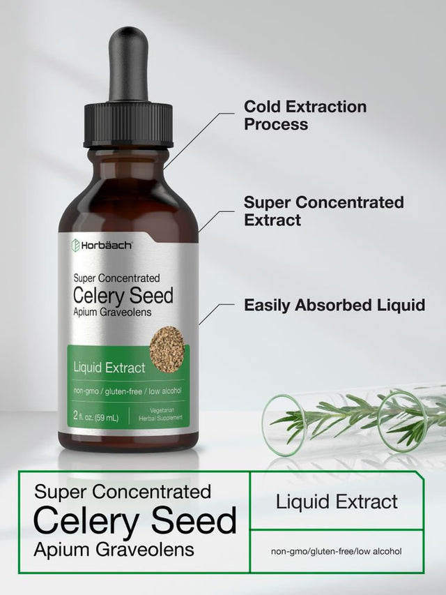 Celery Seed Liquid Extract | 2 Oz | Vegetarian Tincture | by Horbaach