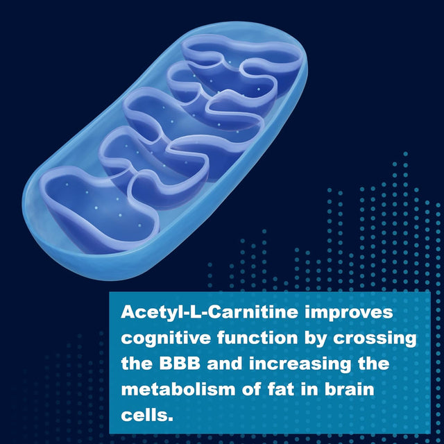 Lifelink'S ALC (Acetyl L-Carnitine) | 500 Mg X 90 Capsules | Cognitive Enhancer | Gluten Free & Non-Gmo | Made in the USA