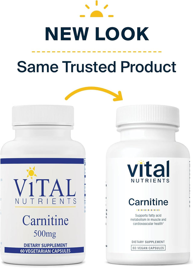 Vital Nutrients - Carnitine - Cardiovascular and Fat Metabolism Support - L-Carnitine Supplement - Heart Health Support - Supports Fatty Acid Transport - 60 Vegetarian Capsules per Bottle - 500 Mg