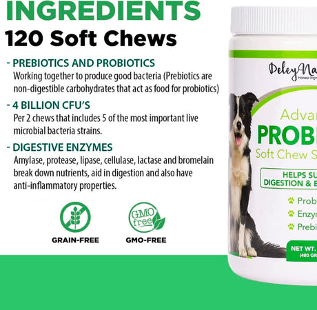 Deley Naturals Probiotics for Dogs, Digestive Enzymes for Dogs, Itch Relief, Dog Probiotic, Gut Health, 120 Count Soft Chews