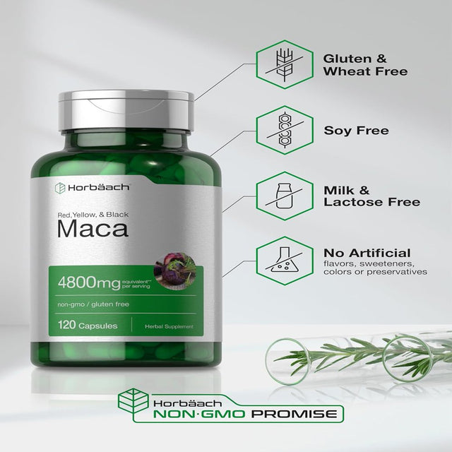 Maca Root Capsules | 4800Mg | 120 Count | by Horbaach