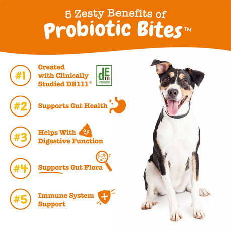 Zesty Paws Probiotic Bites Soft Chews, Digestive Probiotics for Gut Flora & Immune Support, Functional Digestive Health Dog Supplement, Pumpkin Flavor, 90 Count