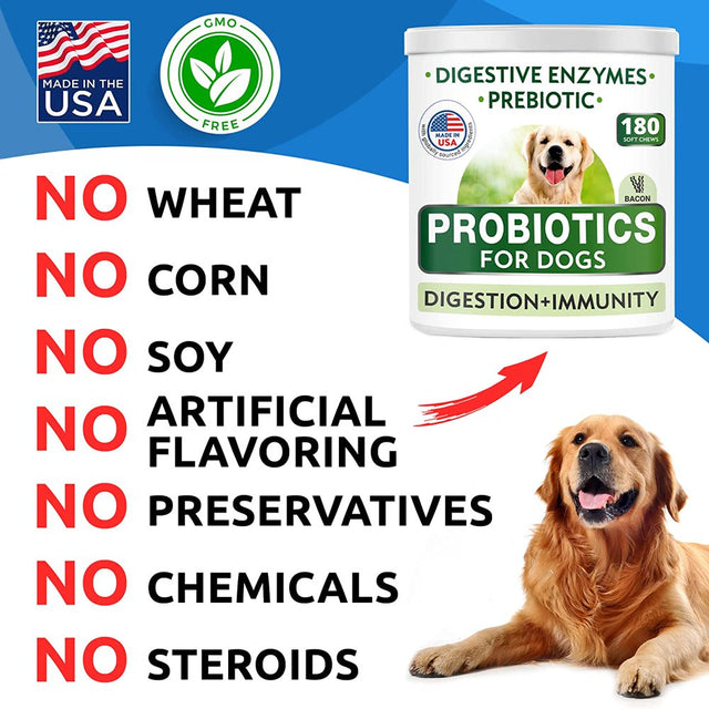 Dog Probiotics Chews - Gas, Diarrhea, Allergy, Constipation, Upset Stomach Relief, with Digestive Enzymes + Prebiotics - Chewable Fiber Supplement - Improve Digestion, Immunity - Made in USA