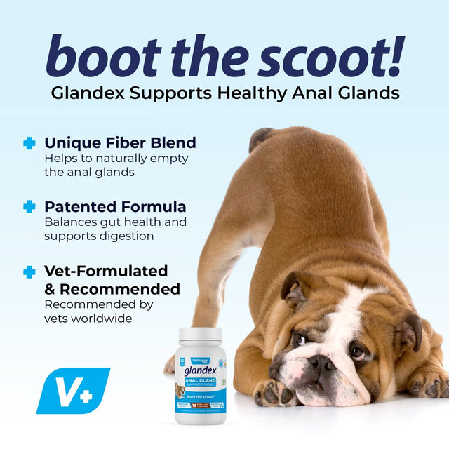 Glandex Dog Fiber Supplement for Anal Glands with Pumpkin, Digestive Enzymes & Probiotics - Boot the Scoot 4.0 Oz Pork Liver by Vetnique Labs