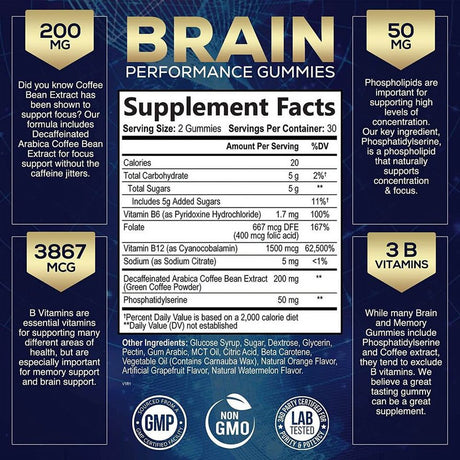 Brain Support Focus Supplement Gummies - Brain Booster - 60 Gummies