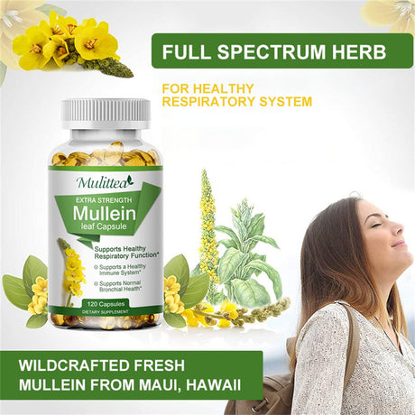 Mulittea 100% Natural Mullein Leaf Capsules for Cleanse, Supports Healthy Respiratory, 120 Capsules