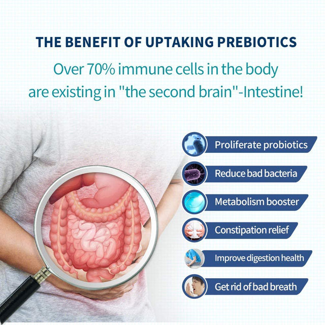 Dr.Brian Prebiotics Supplement Prebiotics for Women Men Strong Constipation Digestive Health W Prebiotics Powder 3000Mg Zinc 5Mg Promote Good Bacteria Probiotics Growth Yogurt Flavor 30 Pouches