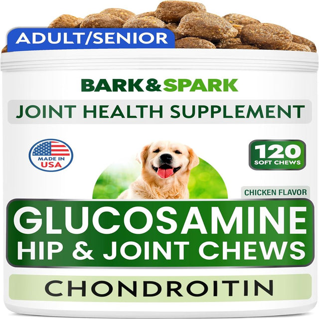 Glucosamine Chondroitin Dog Hip & Joint Supplement - Joint Pain Relief - Hip & Joint Chews for Dogs - Joint Support Large Breed - Senior Doggie Vitamin Pills Joint Health - (120 Treats - Chicken)