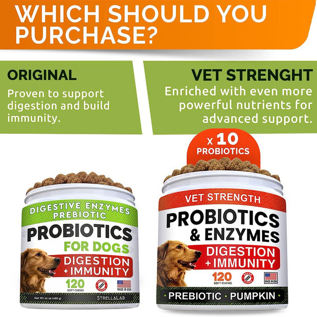 Vet Strength Dog Probiotics Treats - 1 Billion CFU + Digestive Enzymes + Prebiotics - Chewable Fiber Supplement W/ Pumpkin - Allergy, Diarrhea, Gas, Constipation, Upset Stomach Relief - Immunity