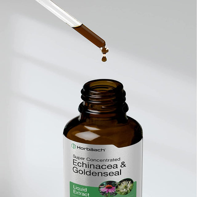 Echinacea Goldenseal Liquid Extract | 2 Fl Oz | Alcohol Free Tincture Drops | by Horbaach