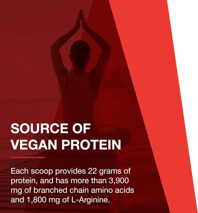 Protocol Plant Protein Complete - Pea, Hemp, and Quinoa Protein Shake - Vanilla - 2 Lbs (907 G)