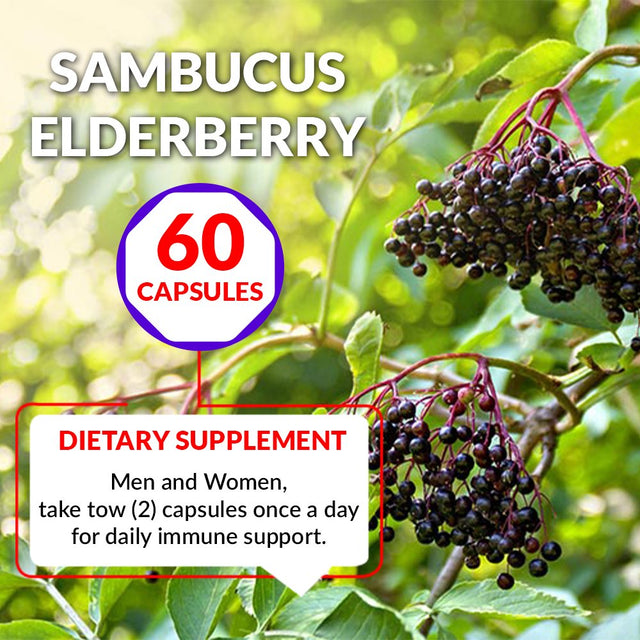 Black Elderberry Capsules with Echinacea, Turmeric, Garlic, Zinc, Vitamins C, E, B6, Probiotics and L-Glutamine (2-Pack)