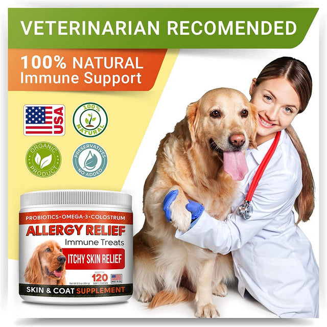 Allergy Relief Dog Treats W/ Omega 3 + Pumpkin + Enzymes + Turmeric - Itchy Skin Relief - Immune & Digestive Supplement - Skin & Coat Health - Anti-Itch & Hot Spots - Made in USA - 120 Chews