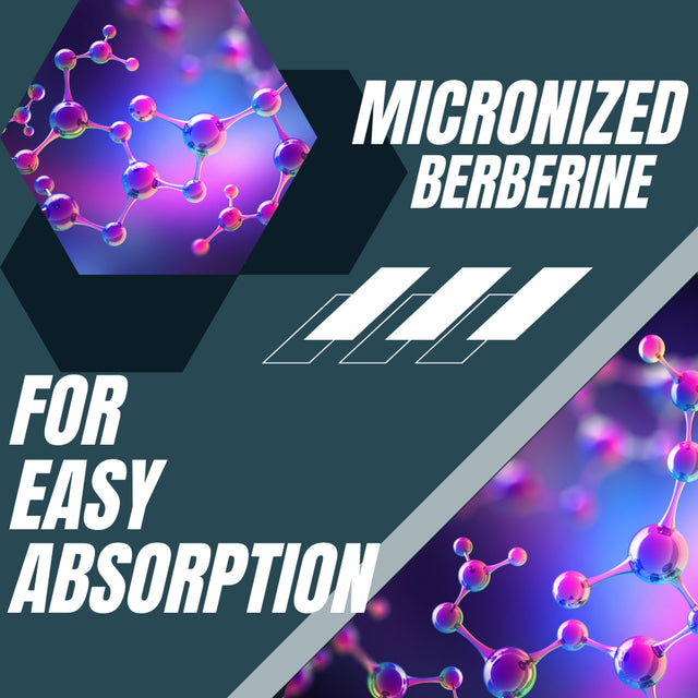 Research Labs 1500Mg Clinical Grade Berberine High Absorption Formula & Berberquil™ Support 180 Capsules- Blood Sugar Support Supplement