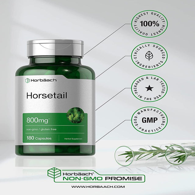 Horsetail Extract 800Mg | 180 Capsules | Herbal Supplement | by Horbaach