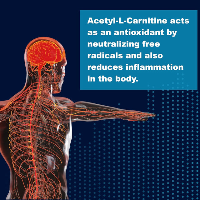 Lifelink'S ALC (Acetyl L-Carnitine) | 500 Mg X 90 Capsules | Cognitive Enhancer | Gluten Free & Non-Gmo | Made in the USA