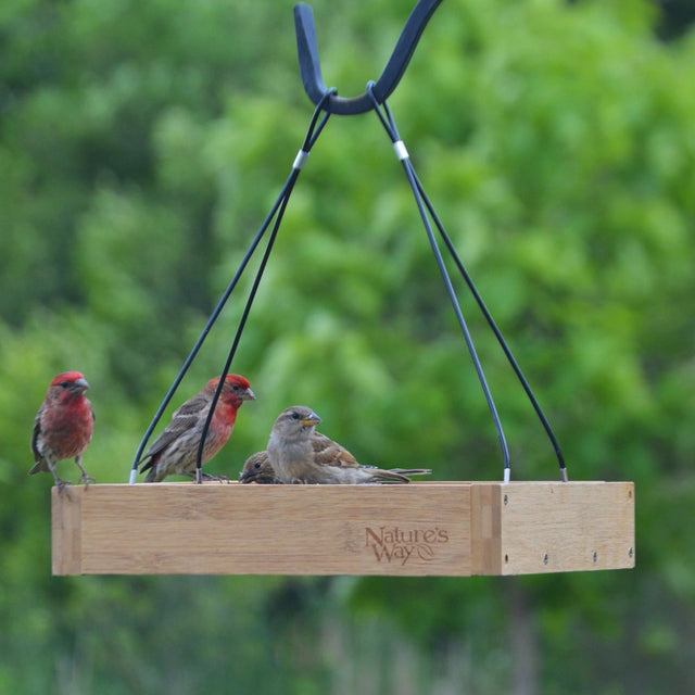 'Nature'S Way Bamboo Tray Bird Feeder 2QT, Brown