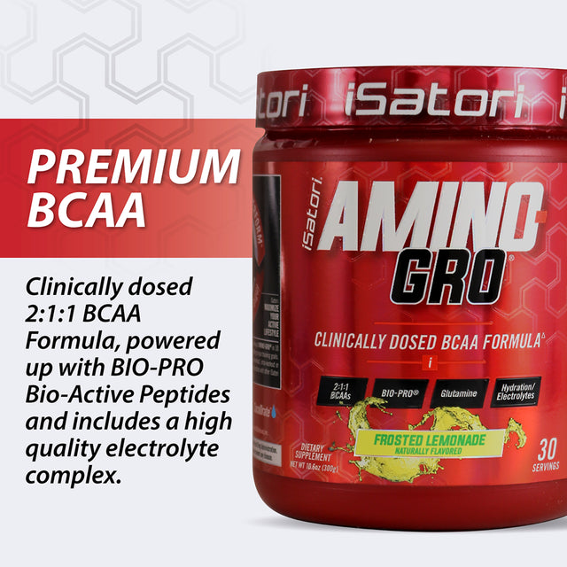 Isatori - Amino-Gro Muscle Building Amino Acid Formula Frosted Lemonade - 9.52 Oz.