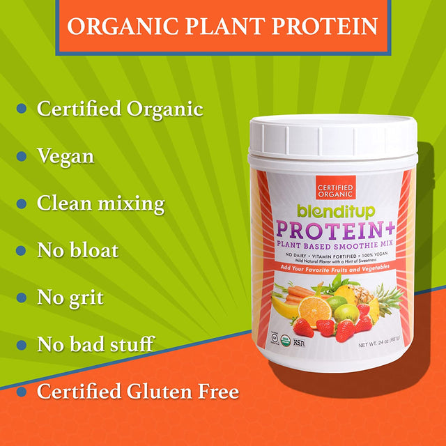 Blenditup Protein + Smoothie Mix Organic (24Oz.) 100% Vegan, Gluten Free