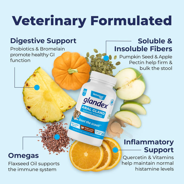 Glandex Dog Fiber Supplement for Anal Glands with Pumpkin, Digestive Enzymes & Probiotics - Boot the Scoot 4.0 Oz Pork Liver by Vetnique Labs